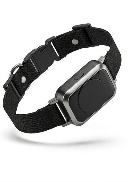 TrackPet – Le collier GPS connecté et étanche pour chiens et chats